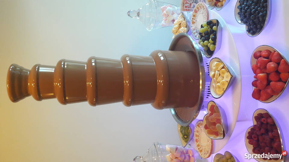 Fontanna Czekoladowa Najwyższa w Polsce Usługi