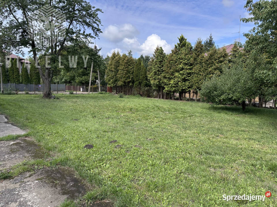 Lokal 800m2 Mrozy Sprzedaż mazowieckie