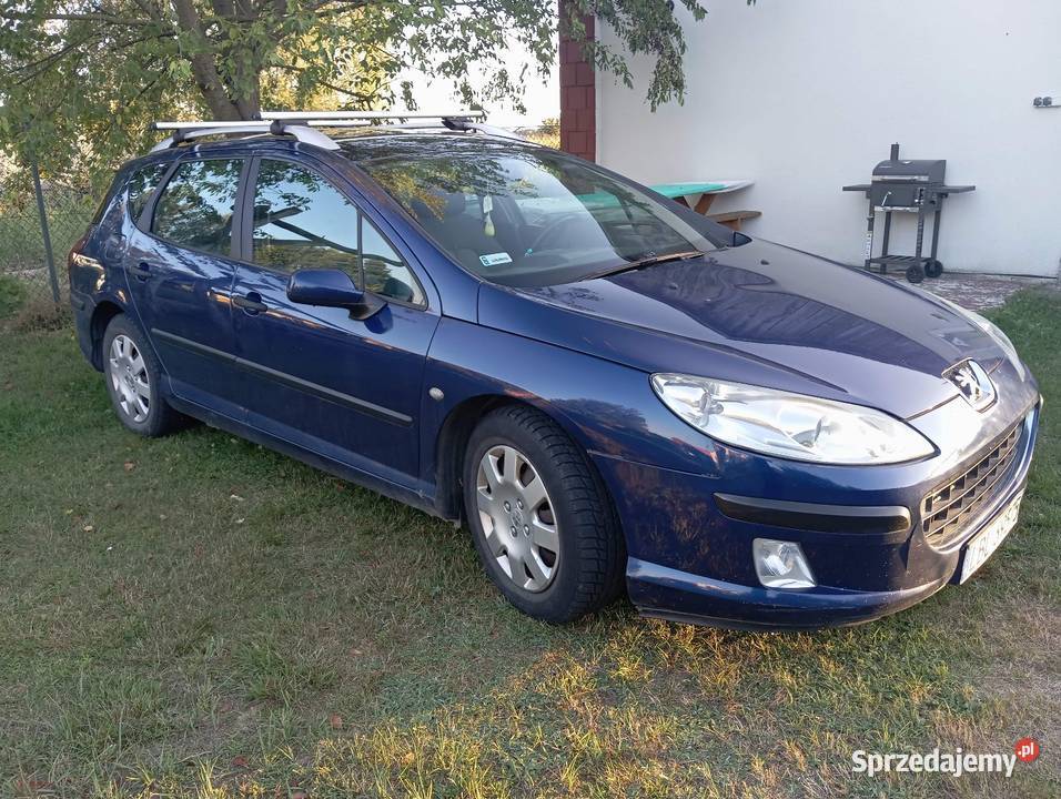Peugeot 407 lubelskie Biłgoraj