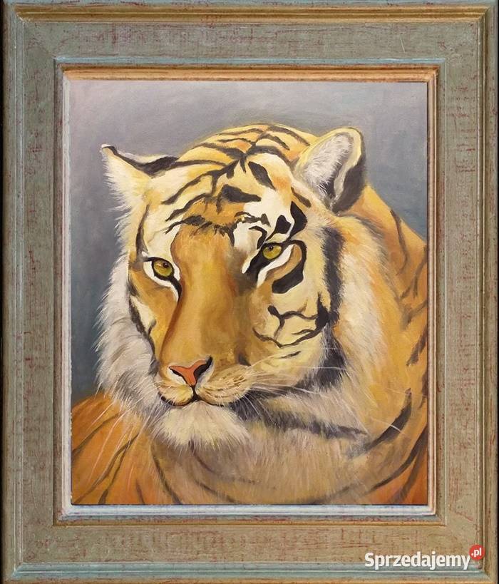 Obraz olejny Tygrys Lublin
