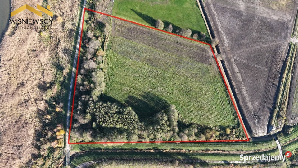 Działka Zalewem Wiślanym Kadyny 252ha