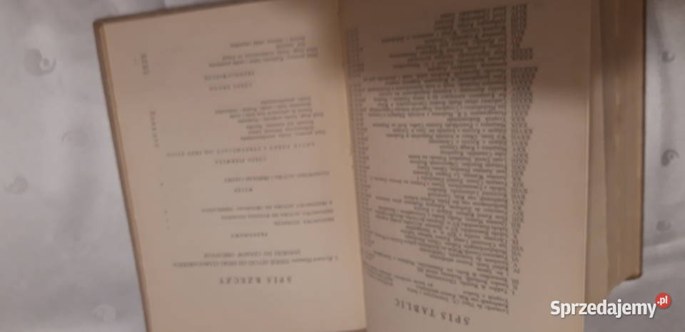 HISTORIA SZTUKI R HAMANN Dzieje Sztuki Polskiej Iwno