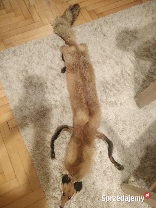 Kołnierz z lisa dolnośląskie Oleśnica sprzedam