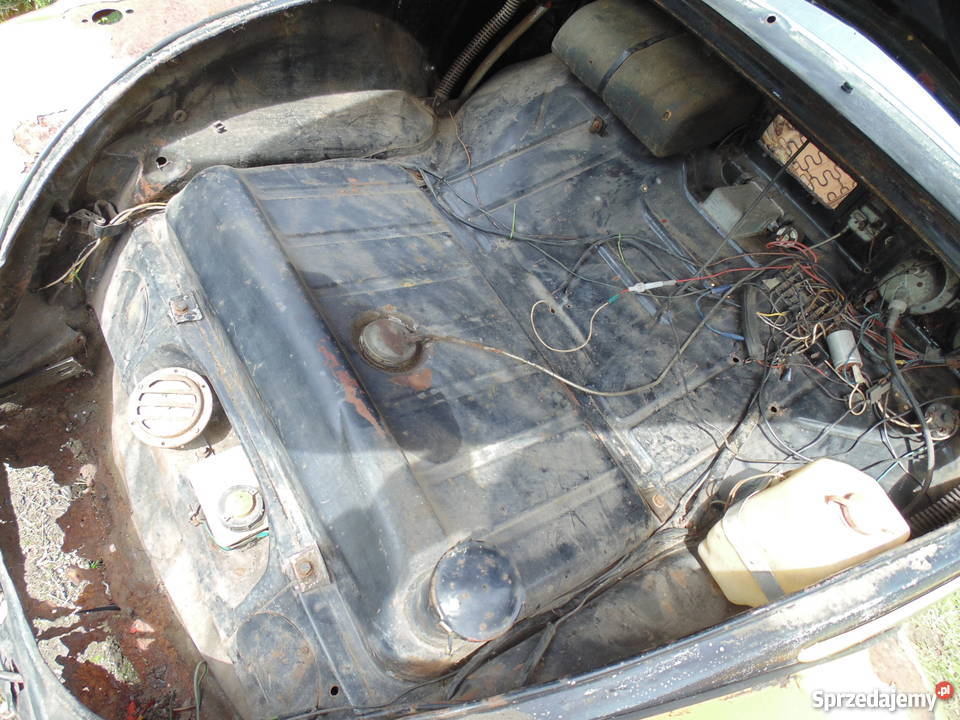 garbus dziadek 61 Nysa