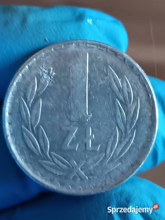 Sprzedam trzecia monete 1 zl 1982 r Cienka Data Numizmatyka