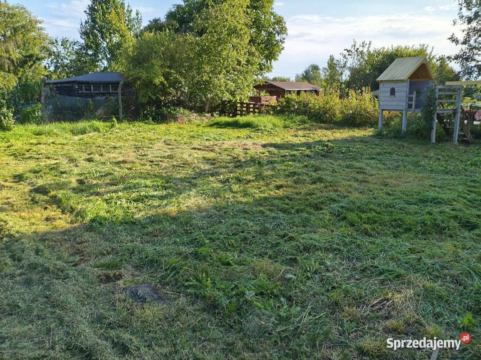 Skrajny ogródek działkowy ROD Wypoczynek Zabrze 400m2