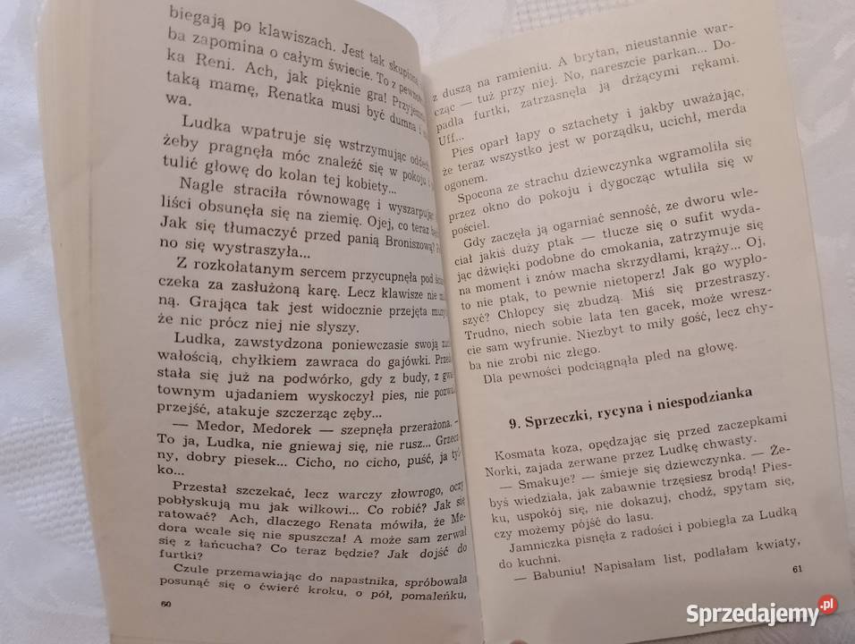 Książka WAKACJE W BORKACH Jadwiga Korczakowska Beletrystyka, powieści Oborniki