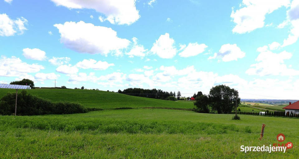 Działka 3003 metry Olszanka sprzedam