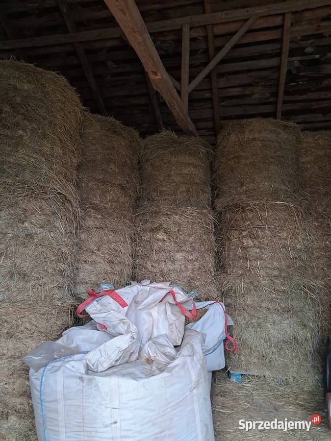 Słoma i siano w belach Ułęż