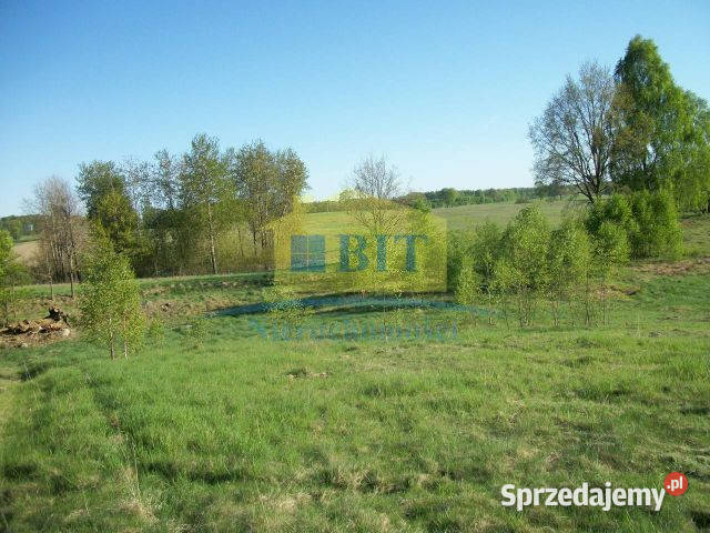 Działka 219 ha jeziorze Drawsko Sprzedaż Siemczyno