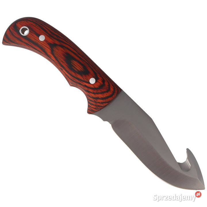 Nóż Muela Bisonte11R Pakka Wood Satin X50CrMoV15