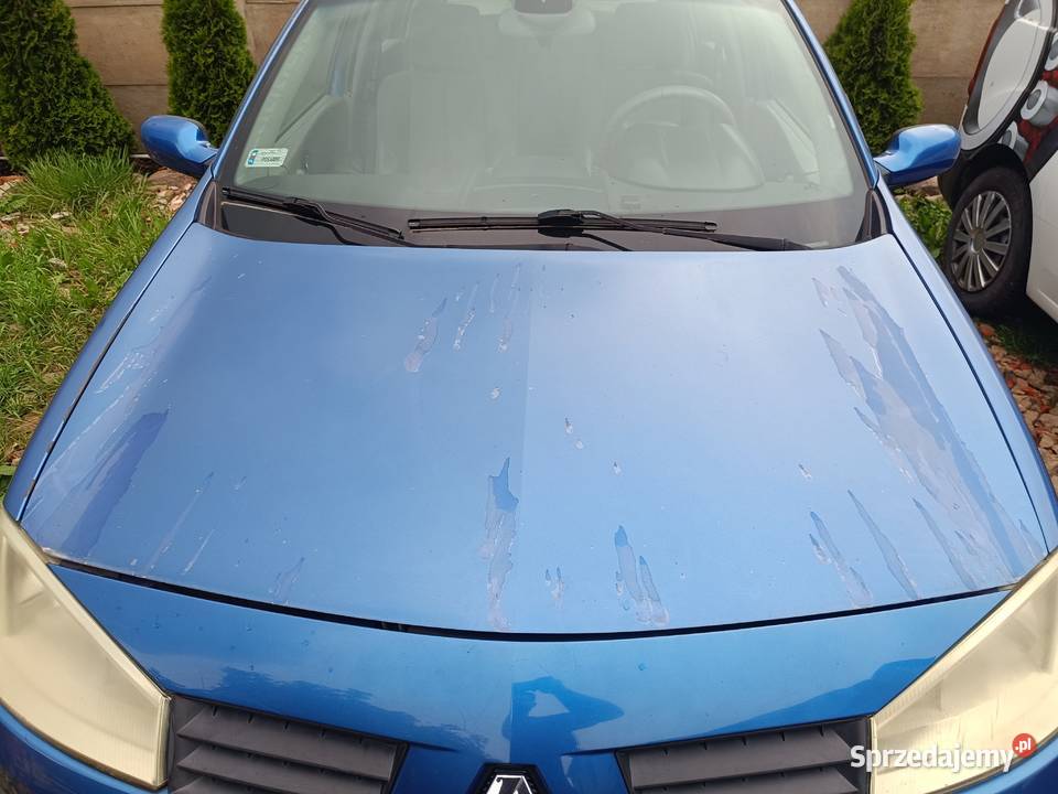 Renault Megane 2 II wszystkie części 19 dci manualna Biskupice Ołoboczne