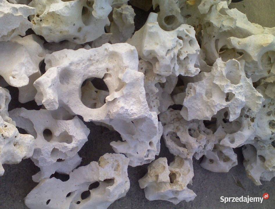 WAPIEŃ FILIPIŃSKI Biała Skała do Akwarium Malawi Akwarystyka Warszawa