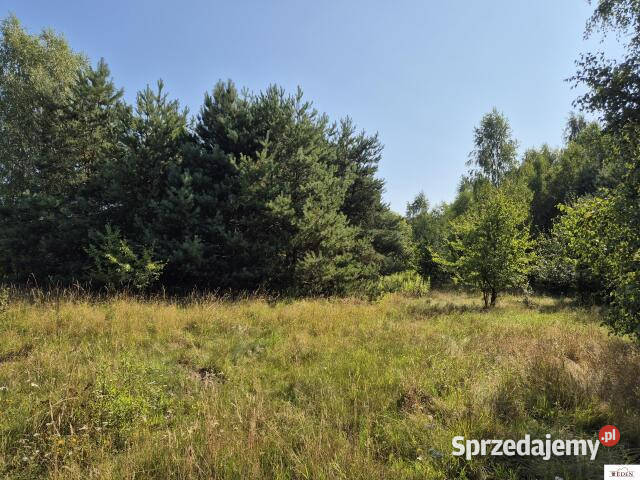 Grunt 2999m2 Oleśnica mazowieckie