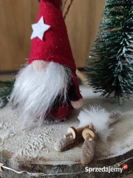 Stroik skrzat na nartach Oleśnica