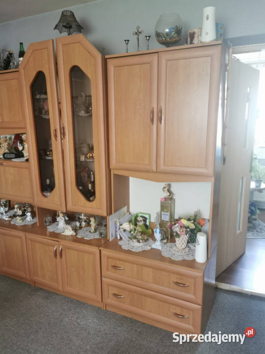 Syndyk sprzeda mieszkanie w Goszynie pomorskie Pruszcz Gdański