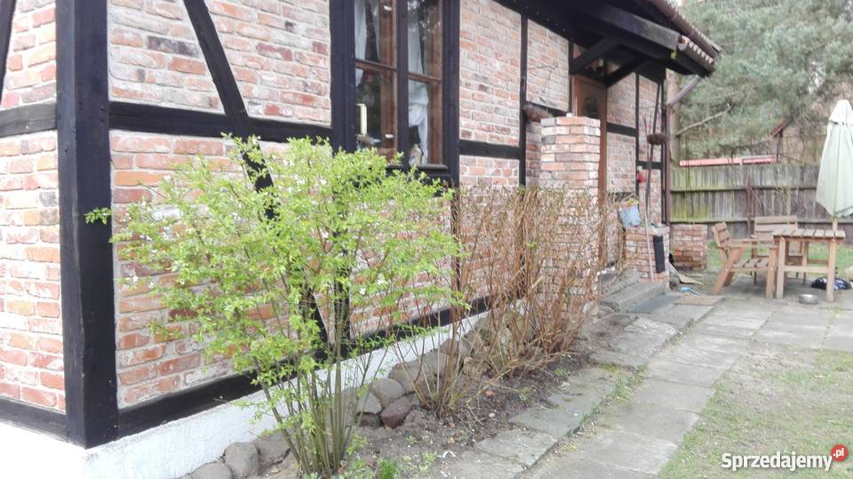 Bezpośrednio dom leśniczówka rzeczką kujawsko-pomorskie Jarki sprzedam