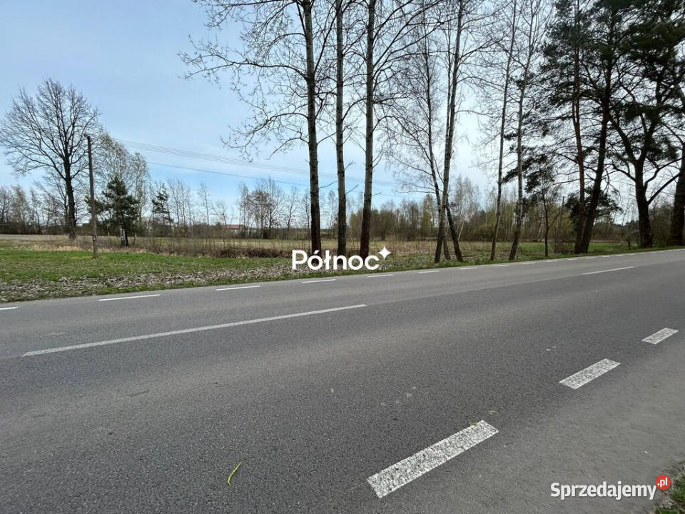 Działka ze stawem 2412 m Aleksandrów sprzedam