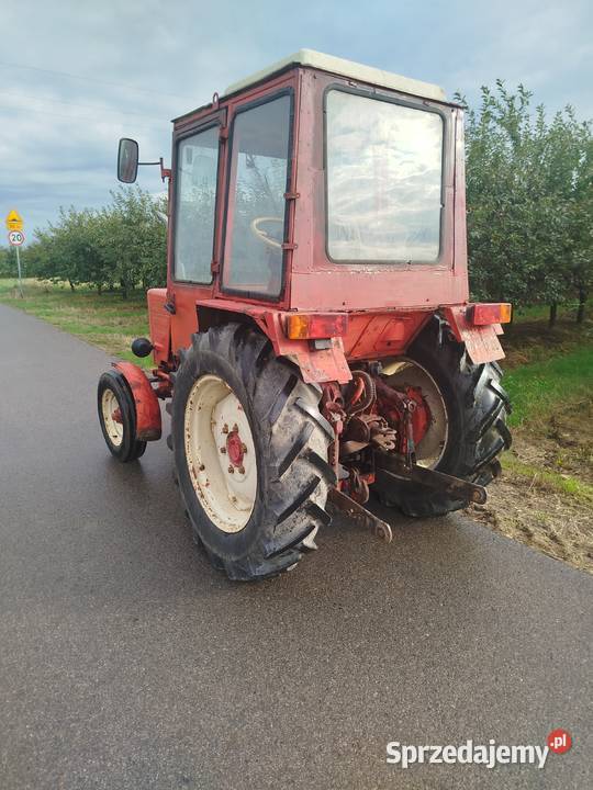 Władymirec t25 Kunów