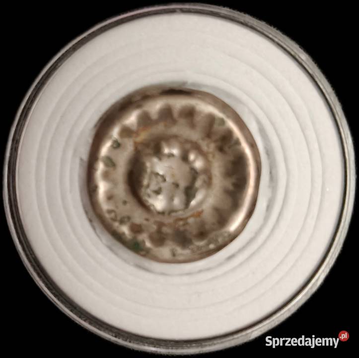 Gryfia XIV w głowa na wprost ukoronowana Kolekcje