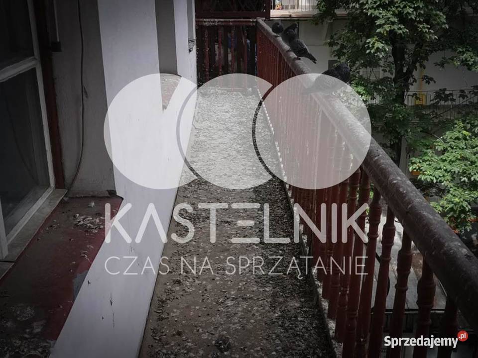 Sprzątanie gołębiach Bytom Kastelnik mycie