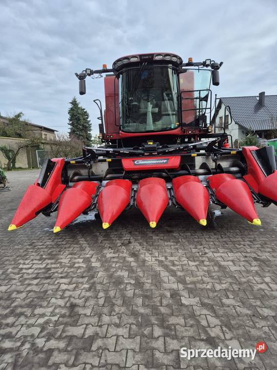 przystawka do kukurydzy geringhoff msh nieuszkodzony Buk