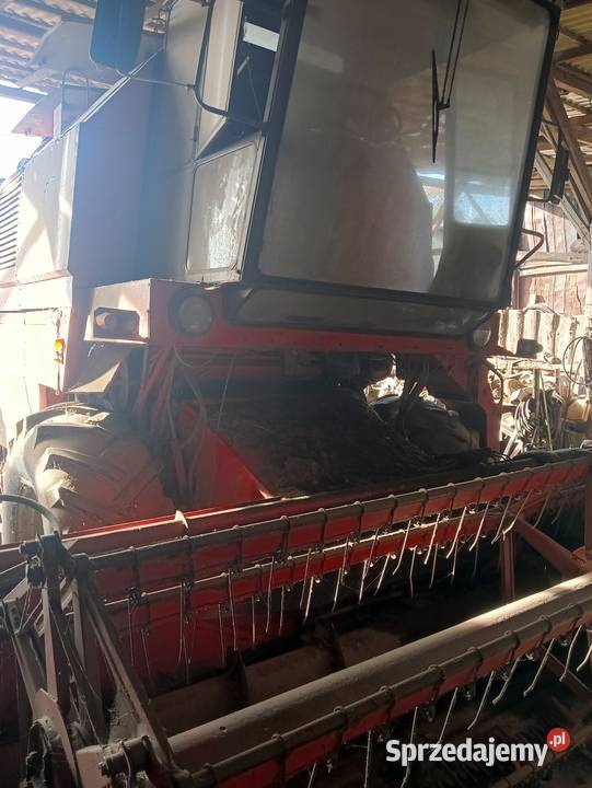 Sprzedam Bizona i Rekorda Bolesławiec