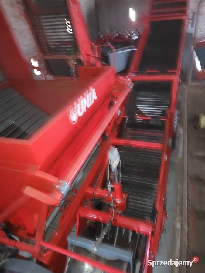 Kombajn ziemniaczany Pyra 1600 Anna Bolko karlik Nur