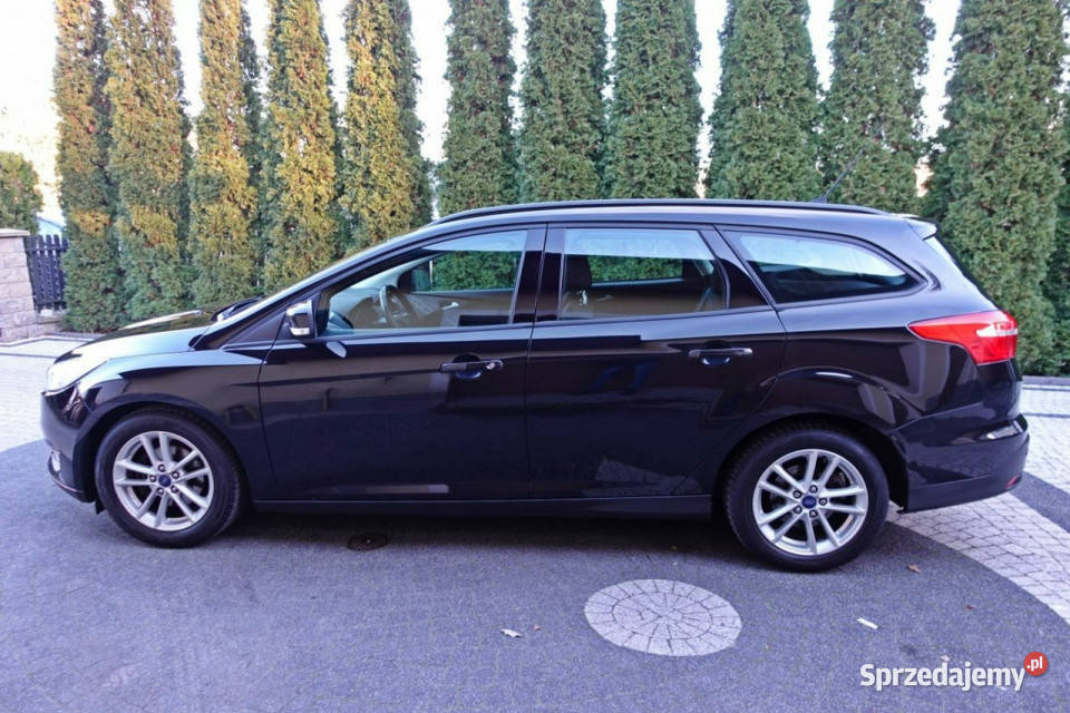 Ford Focus Led Bogate Wyposażenie 125 Zakup Door Focus Płońsk sprzedam