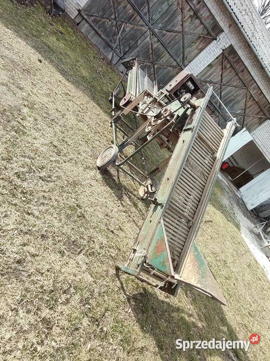 Sortownik do ziemniaków Puck remprodex samro Paprotnia