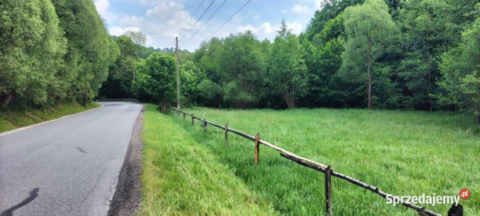 Działka Zagórze Śląskie 10 arów asfalt dolnośląskie Dzierżoniów sprzedam
