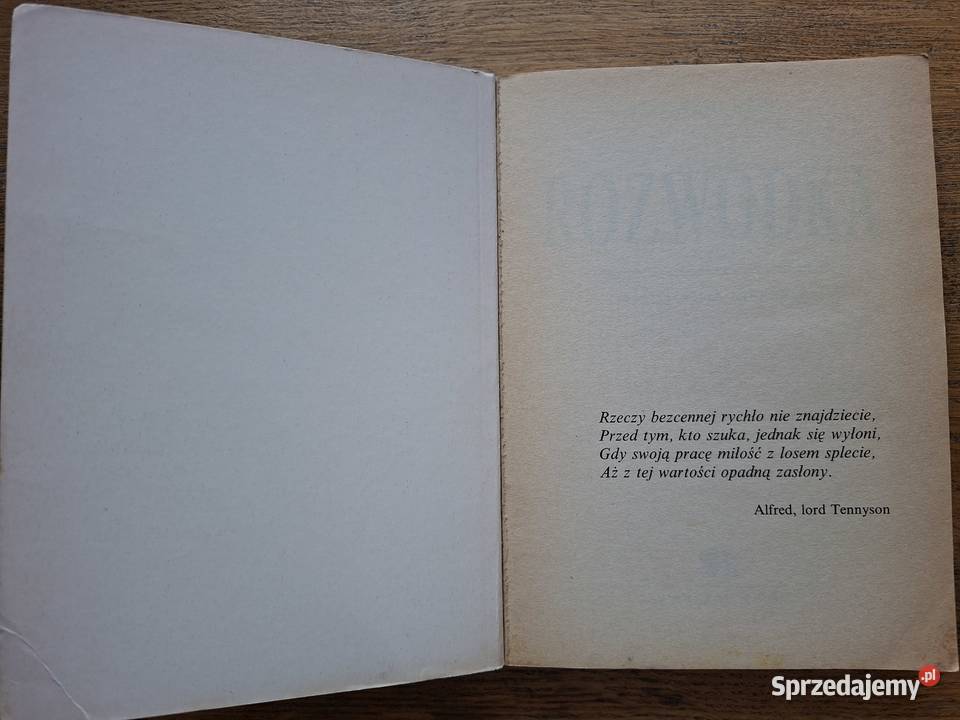 Rozwódka Elizabeth Syme Rok wydania 1995 Proza i poezja Kraków