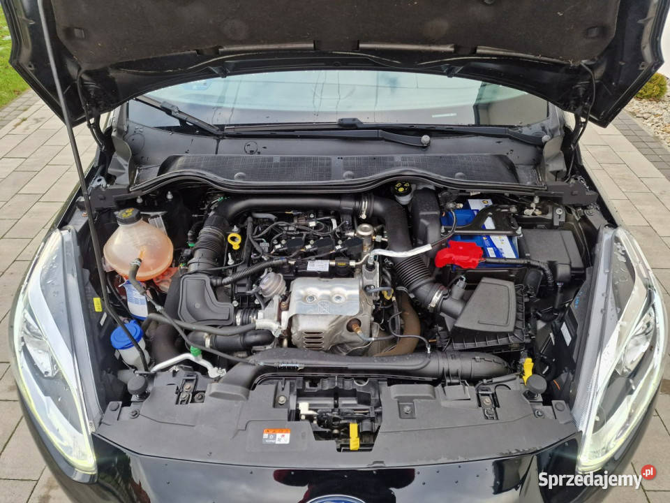 Ford Fiesta 37930 sync kamera stan idealny Rok produkcji 2017 Czarnków