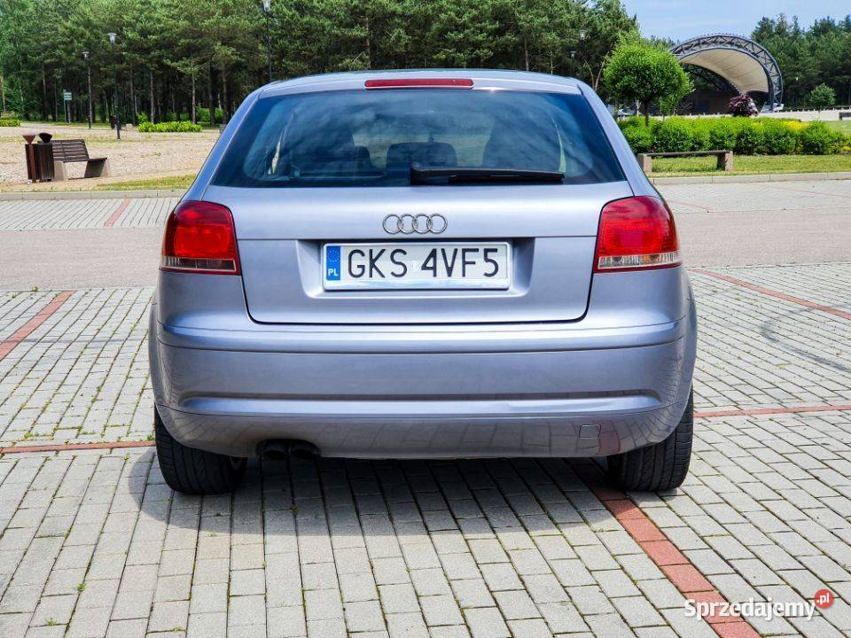 Audi A3 8P 19 TDI BKC Grabowo Kościerskie