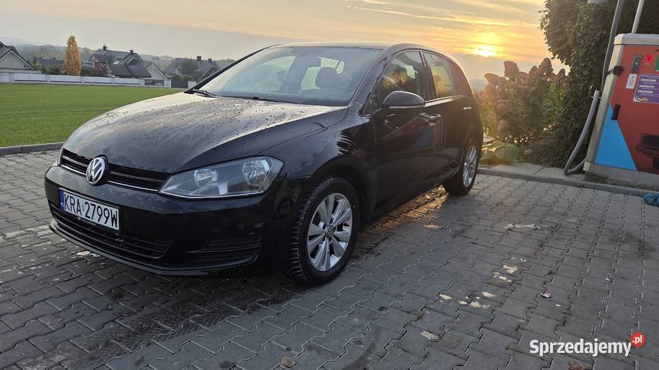 Volkswagen Golf 7 2015r BlueMotion Salon 1 Golf Kraków