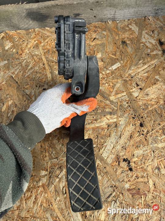 Potencjometr Gazu Pedał Volkswagen Passat B5 Wisznice