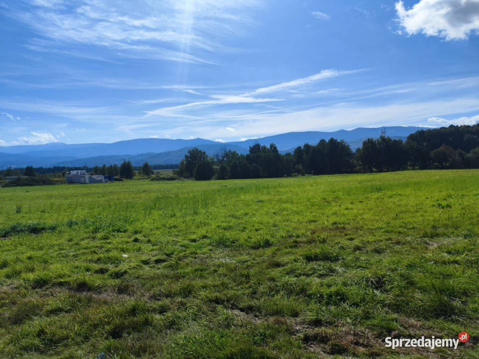 ŚWIETNA DZIAŁKI BUDOWLANEJ  W WOJCIESZYCACH Wojcieszyce