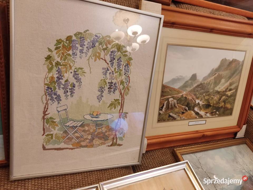 obraz obrazek wyprzedaż kolekcji Gorzów Wielkopolski