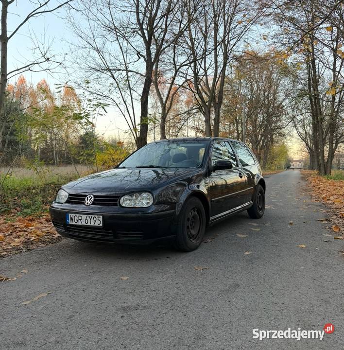 Volkswagen Golf IV 14 Benzyna 2/3 mazowieckie Szydłowiec