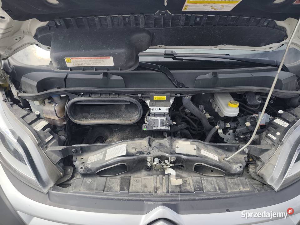 Citroen JUMPER Rok produkcji 2022 Kostarowce