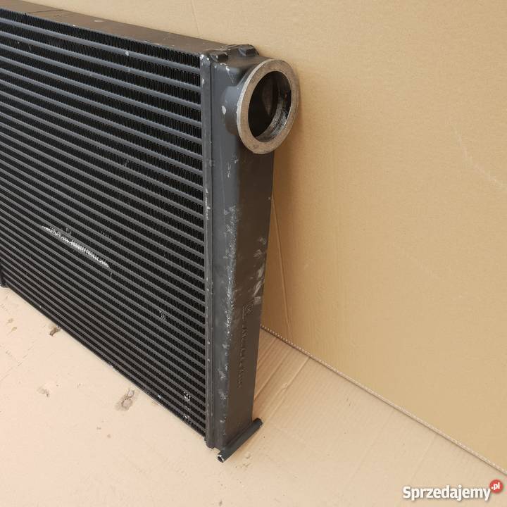 CHŁODNICA POWIETRZA Bieleń