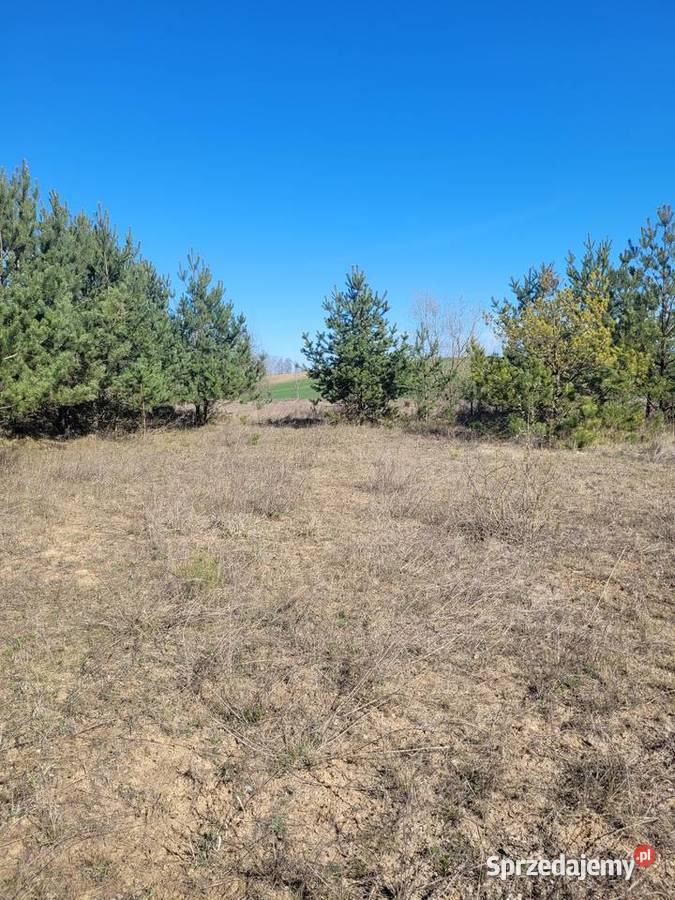 MikołajkiLubiewo działka budowlana Lubiewo