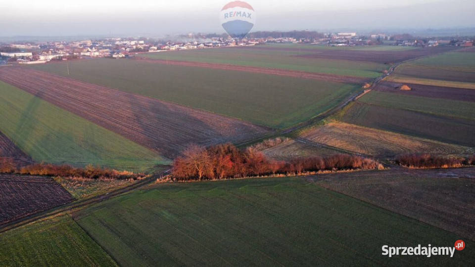 Działka inwestycyjna Przemysł 29ha