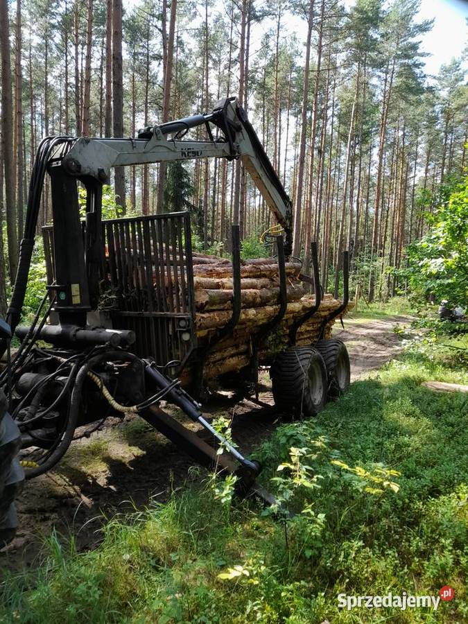 Przyczepa leśna HDS KESLA Szudziałowo