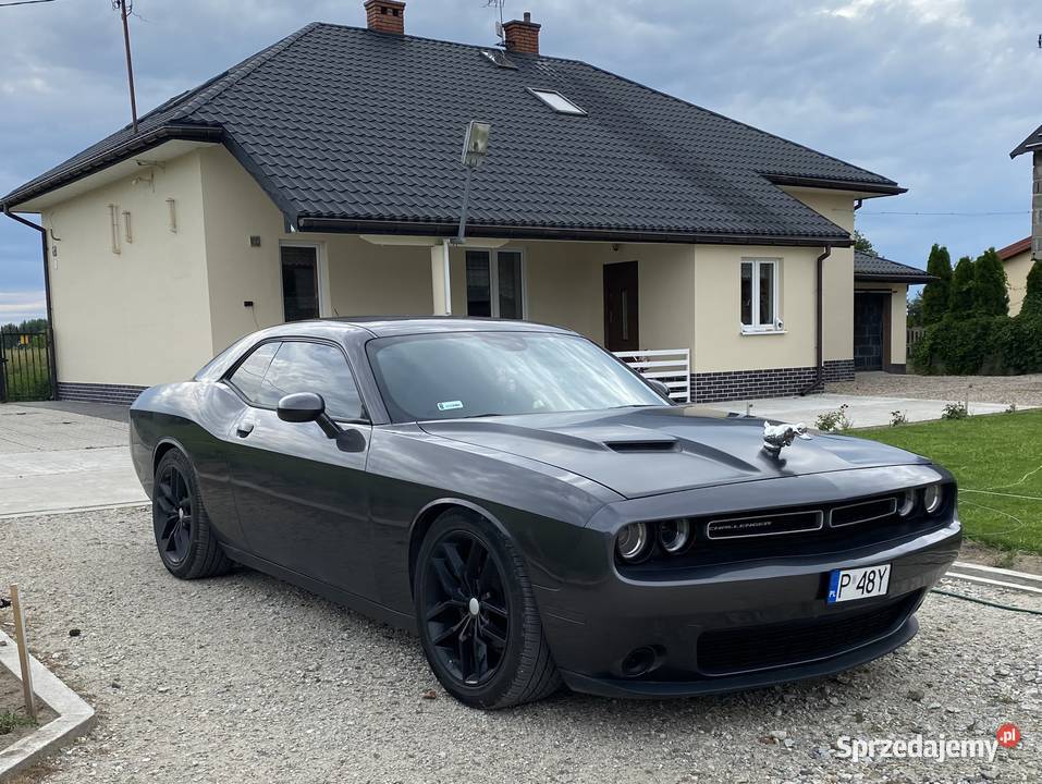 Dodge challenger Janczewy