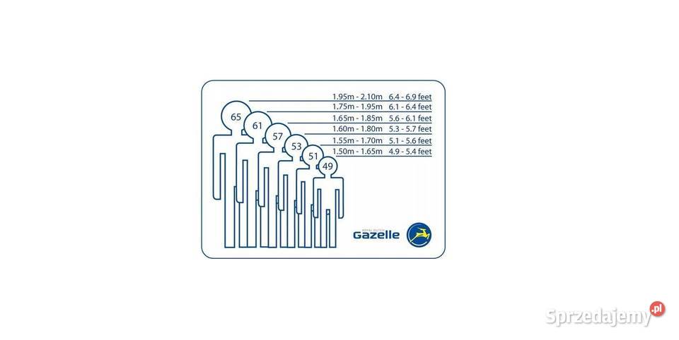 Rower elektryczny na pasku Gazelle Ultimate C380 łódzkie