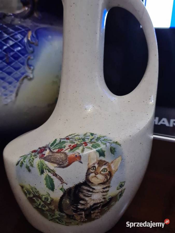 Mlecznik z kotem Przasnysz