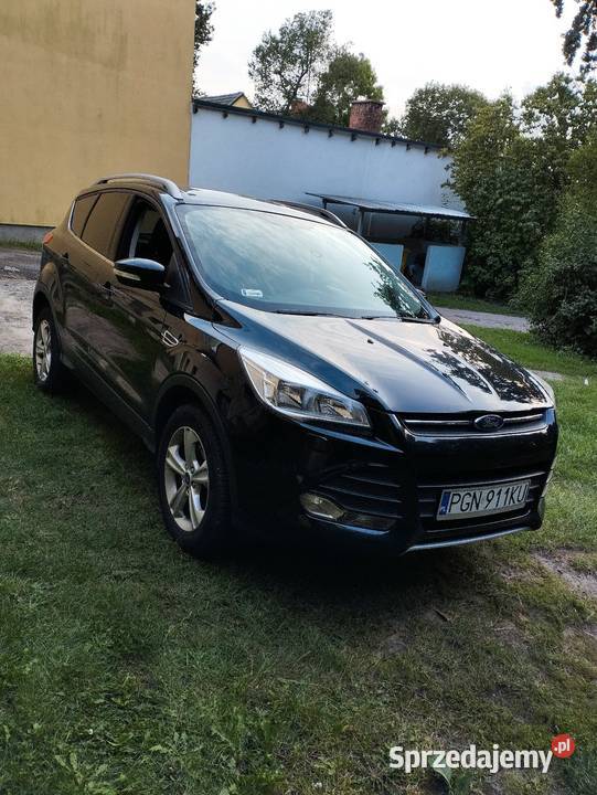 Kuga MK 2 Kuga Trzcianka