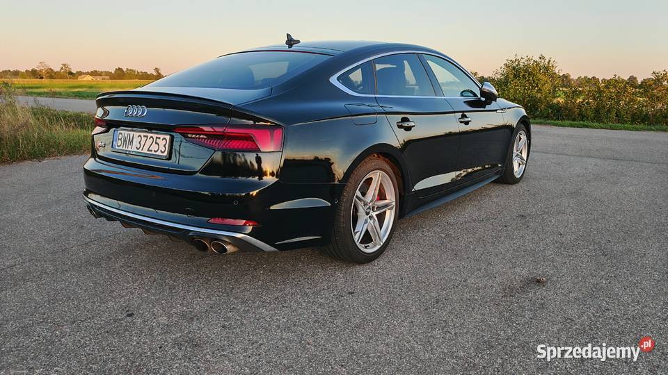 2019 Audi S5 Prestige S5 Czyżew