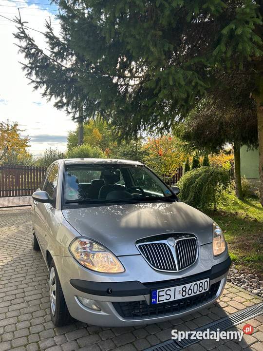 Lancia Ypsilon Klimatyzacjapanorama dach14 95 Rok produkcji 2005 Złoczew